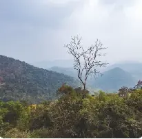 Lambasingi